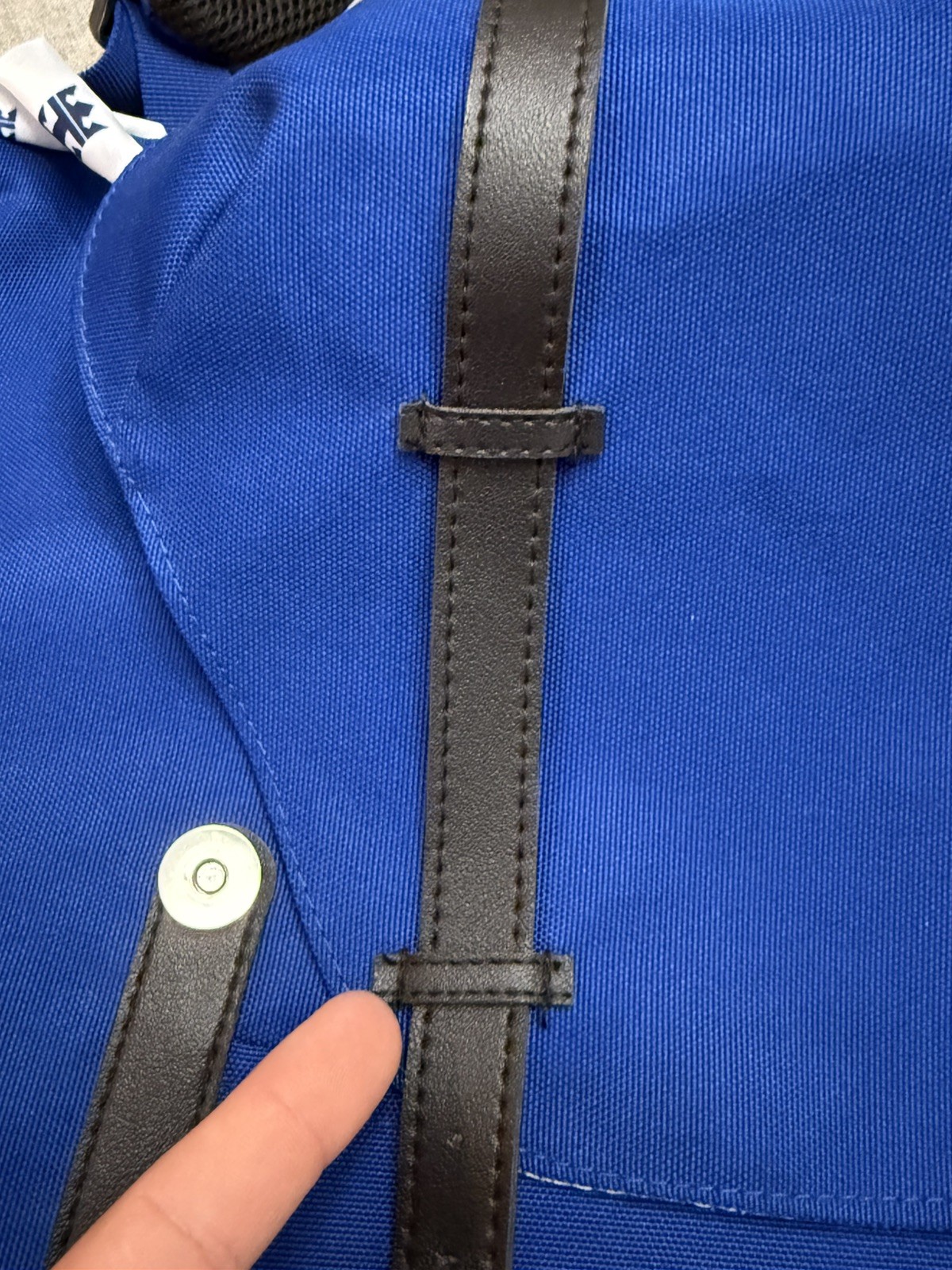 Royal Caribbean Royal Blue Large Backpack With Computer Compartment