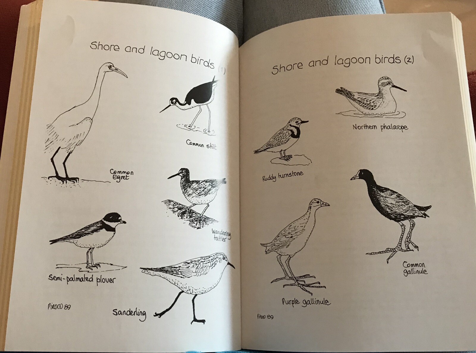2006 “Galapagos A Natural History Guide” by Pierre Constant
