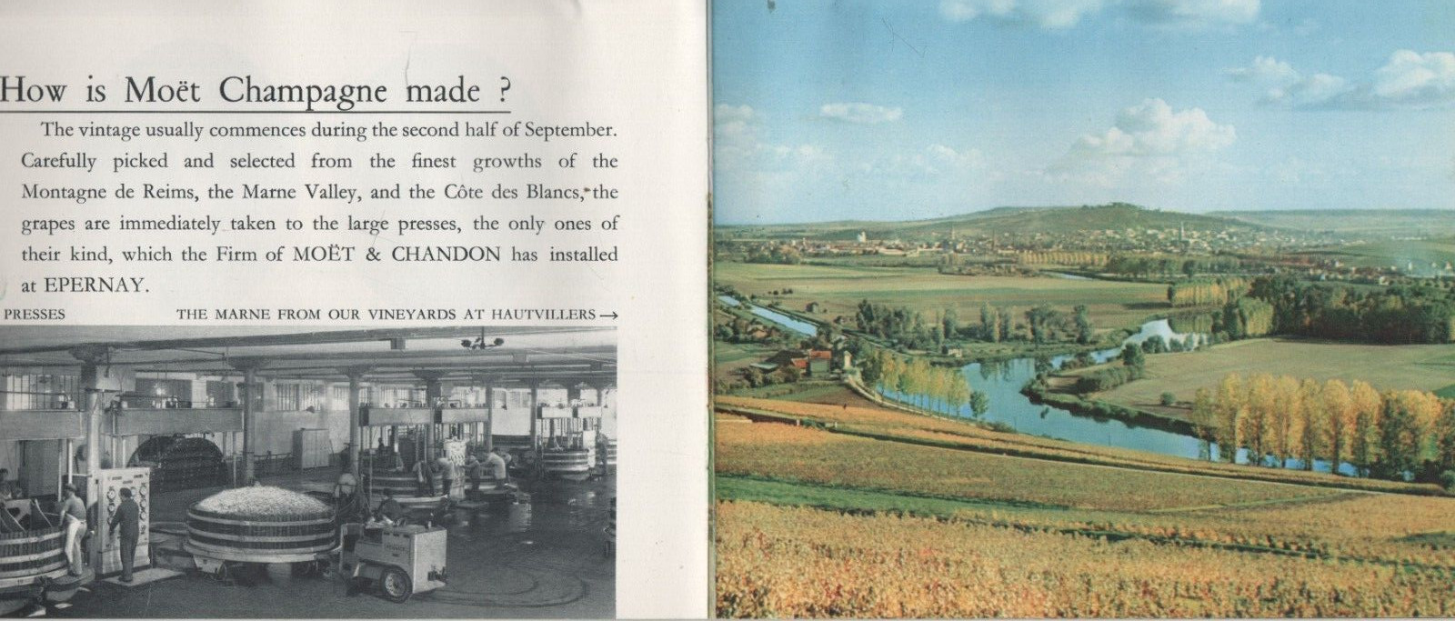 COLLECTIBLE BROCHURE: MOET & CHANDON Champagne (Hautvillers France) Q