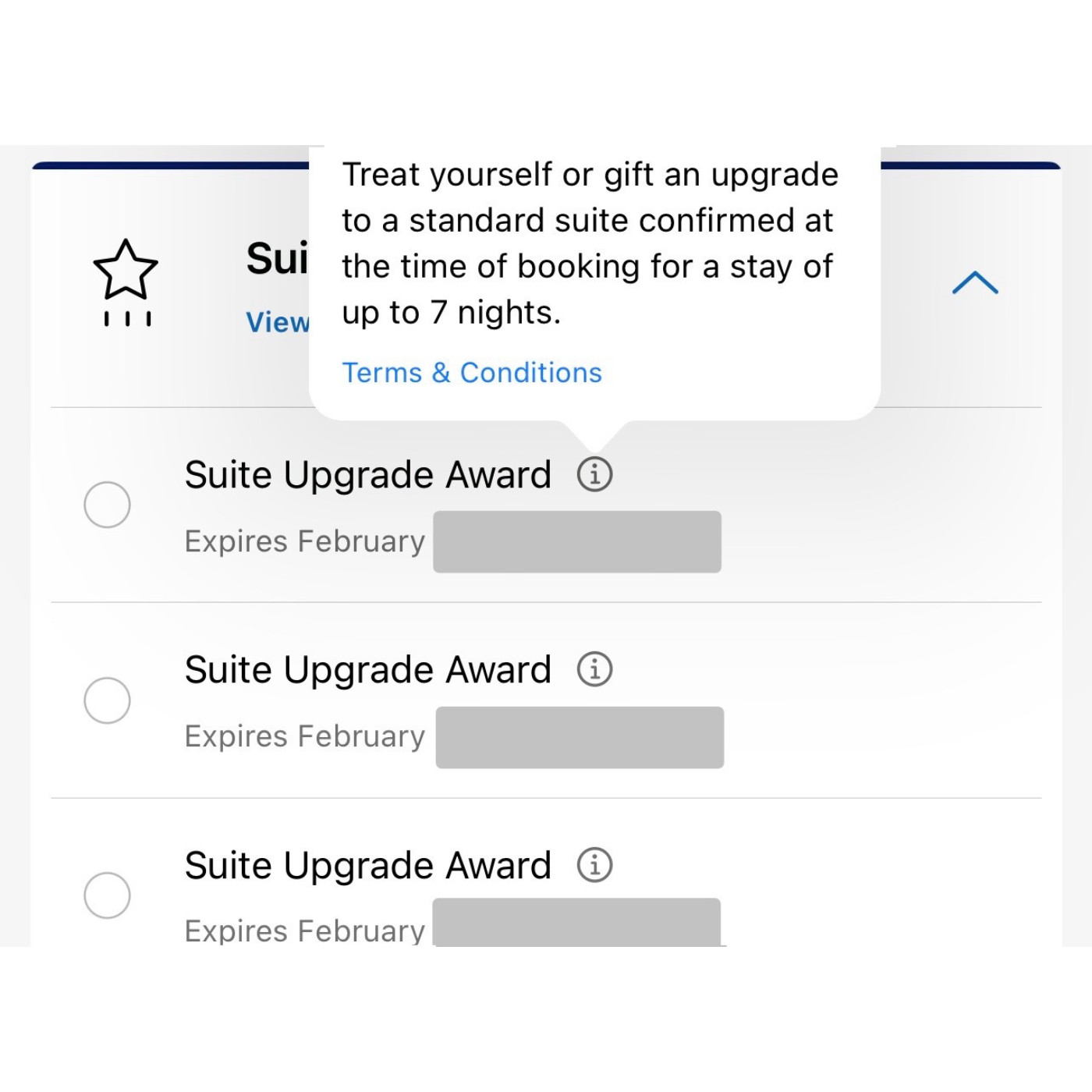 Hyatt Suite Upgrade Award SUA 02/2027