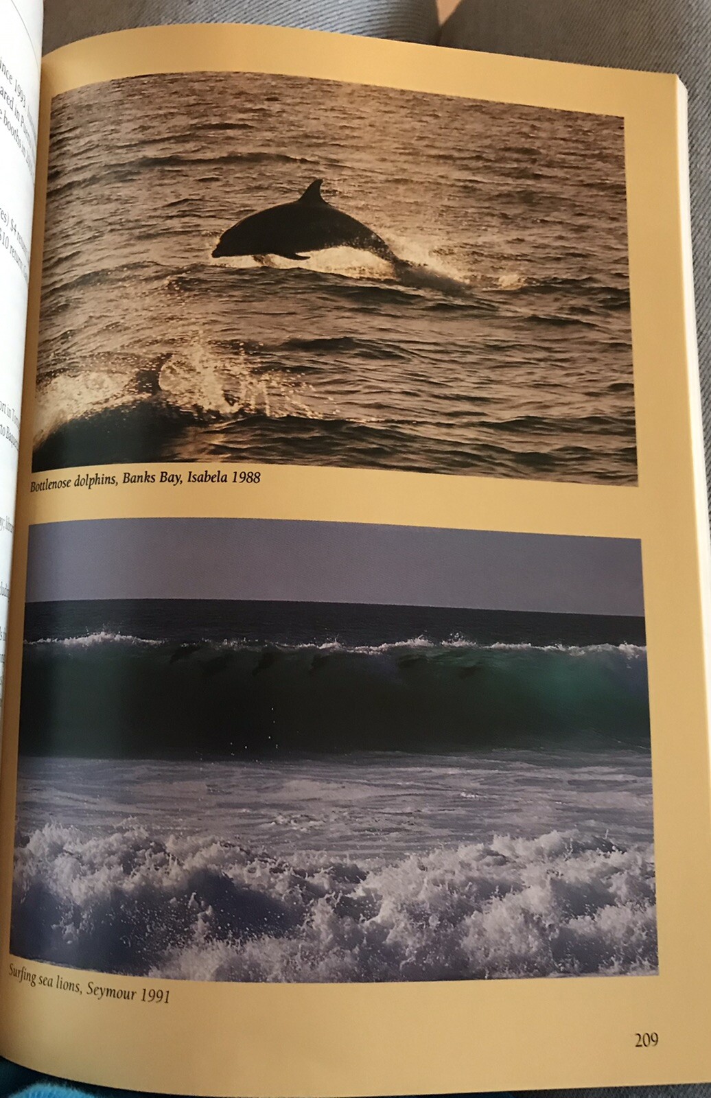 2006 “Galapagos A Natural History Guide” by Pierre Constant
