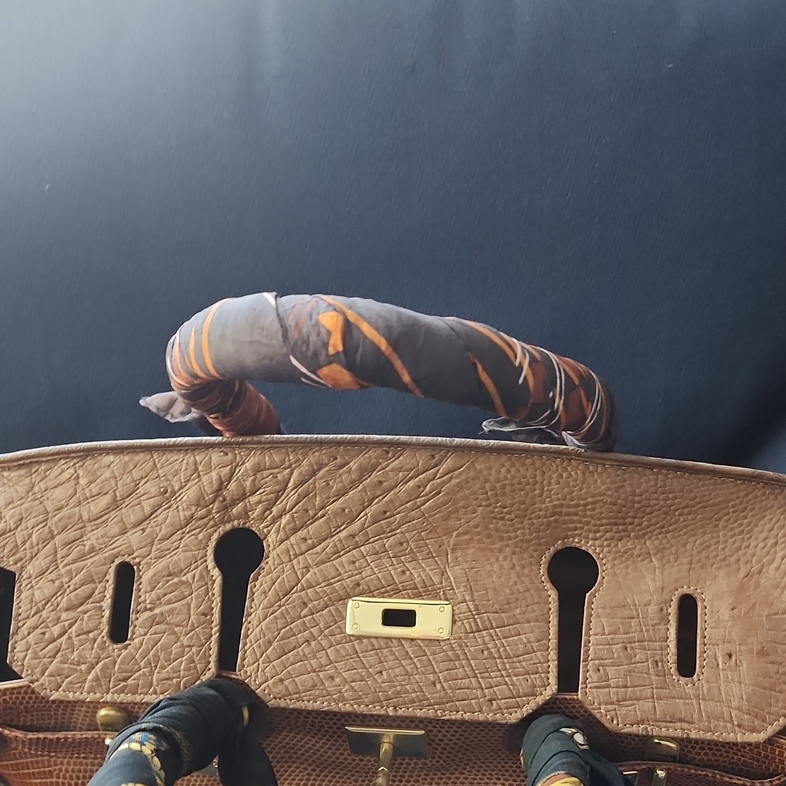 Rupert A. Weinberger Brown Top Handle Bag Gold Hardware Exotic