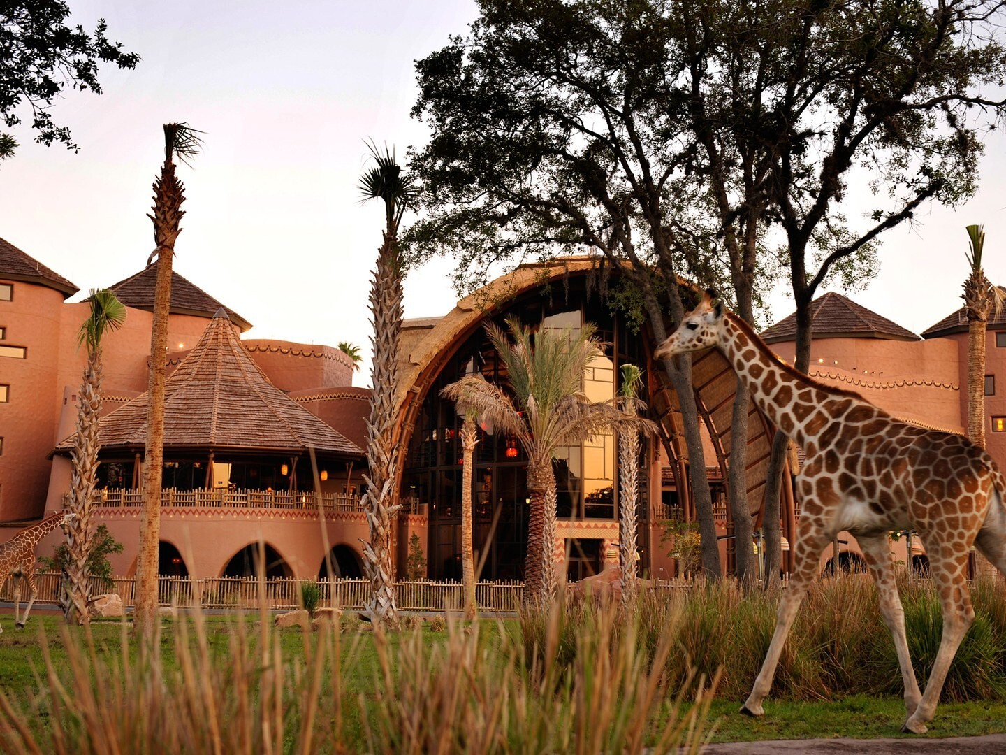 Travel and Stay right where the magic happens — at Disneyland and Disney World