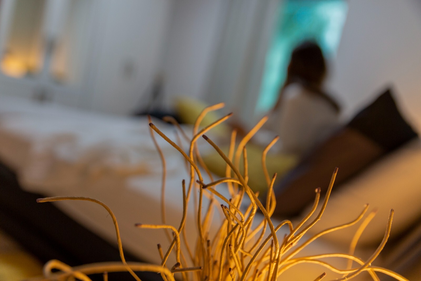 The Pearl Costozza With Spa Private 40 Minutes To Venice By Apartments
