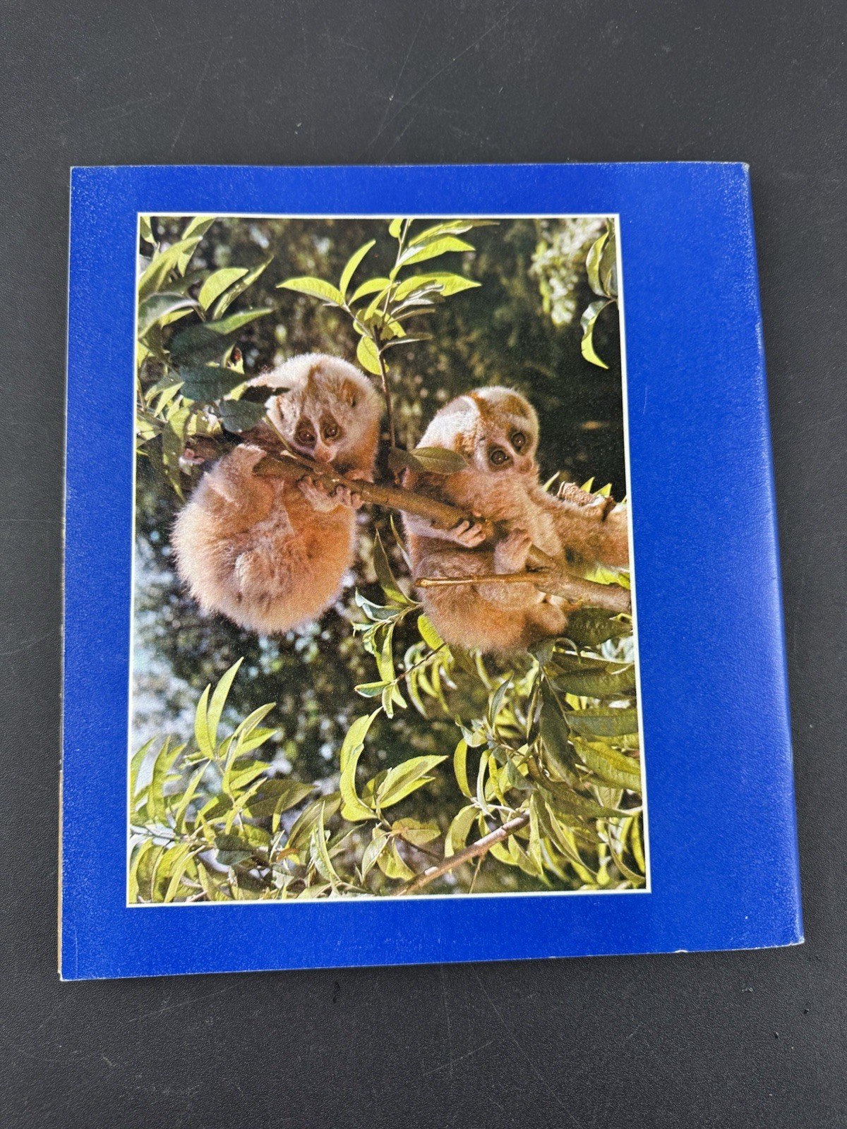 5 Rare 1970s Travel Books from China travel ephemera