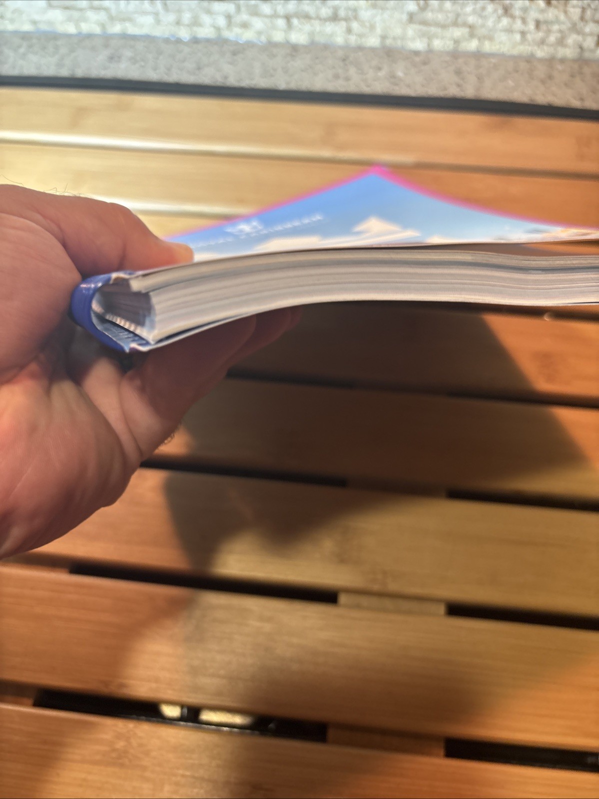 ROYAL CARIBBEAN TRAVEL ADVISOR GUIDE – NEW Travel Agent Guide 2026-27