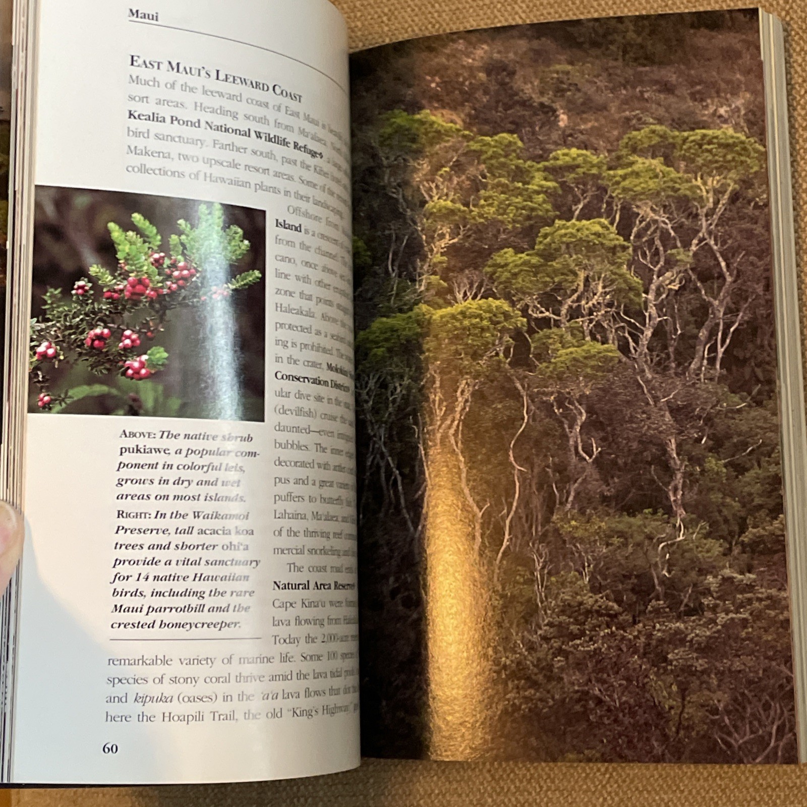 The Smithsonian Guides to Natural America -Hawaii & Alaska (1995 Paperback)