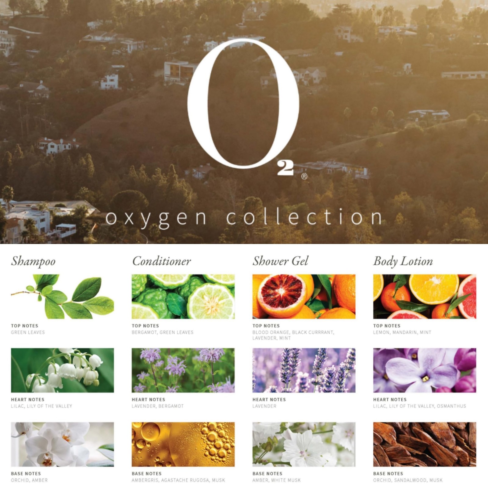 O2 Oxygen 300Pcs/22ml Travel Size Mini Shampoo and Conditioner Sets Body Wash…