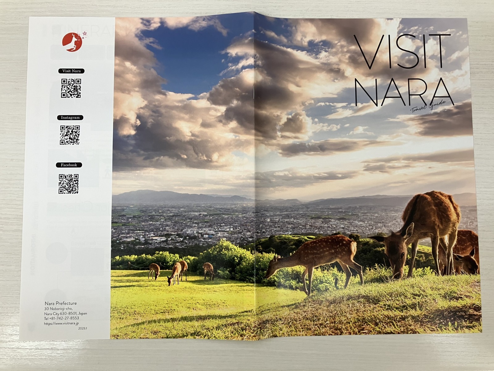 A comprehensive guidebook introducing Nara’s nature, history, and local cuisine.